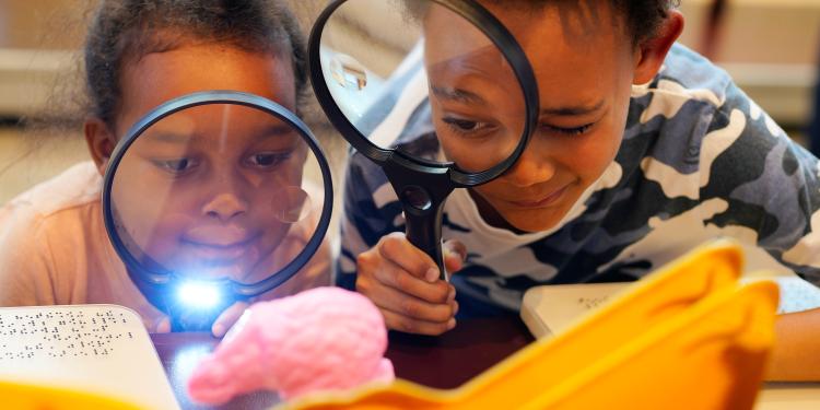 Two kids with magnifying glasses looking at a plastic brain.
