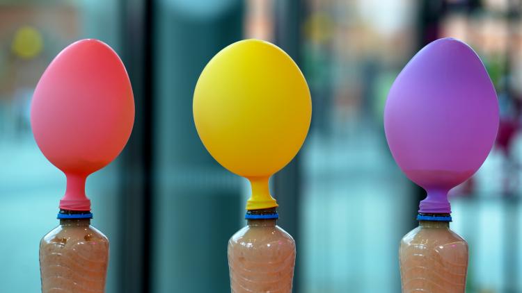 3 bottles, each with a blown-up balloon attached to the neck. The bottles are filled with foam made by expanding yeast.