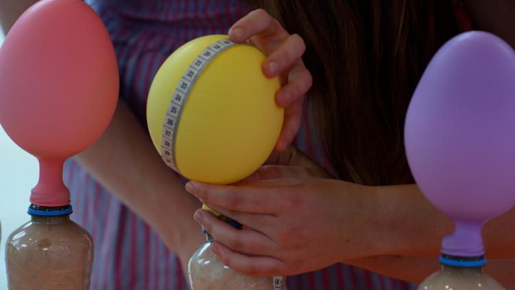 A yellow balloon attached to the top of the bottle stands between two other balloons. The yellow balloon size is being measured by two people holding a measuring tape around the widest part of the balloon.