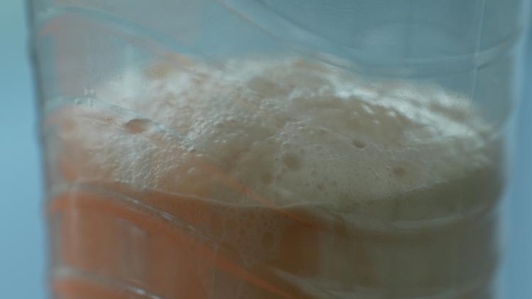 Brown liquid inside a clear plastic bottle with a frothy, foamy layer on top which is full of gas bubble pockets