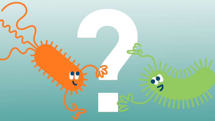 A white question mark with cartoons of bacteria