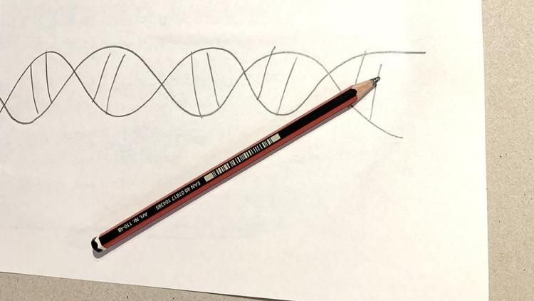 A drawing of a DNA structure with a pencil on top.