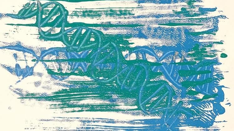 A piece of paper with two handmade prints of DNA helices in green and blue paint.