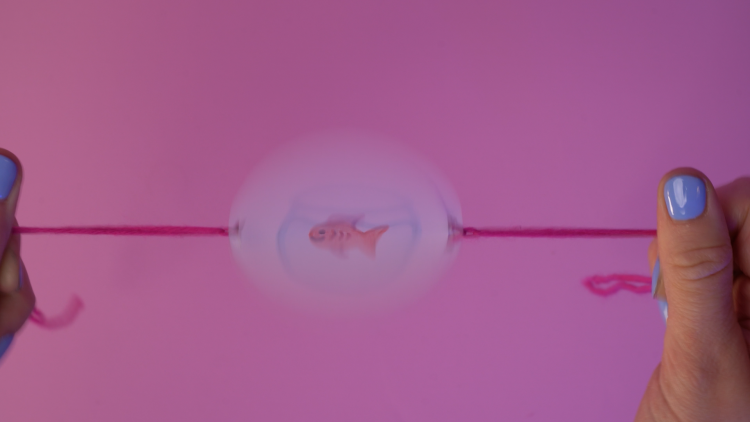 Two hands spin a circle that has a fish and a fish tank on either side