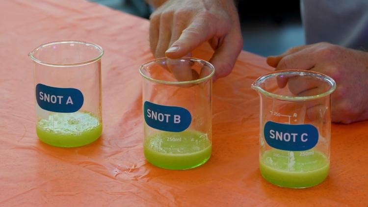 Three clear glass beakers on a table with green liquid in them, labelled 'A', 'B', and 'C'.