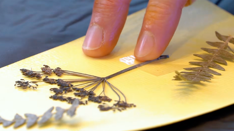 A hand tapes a flower to a piece of paper