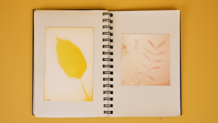 A yellow print of a leaf on paper